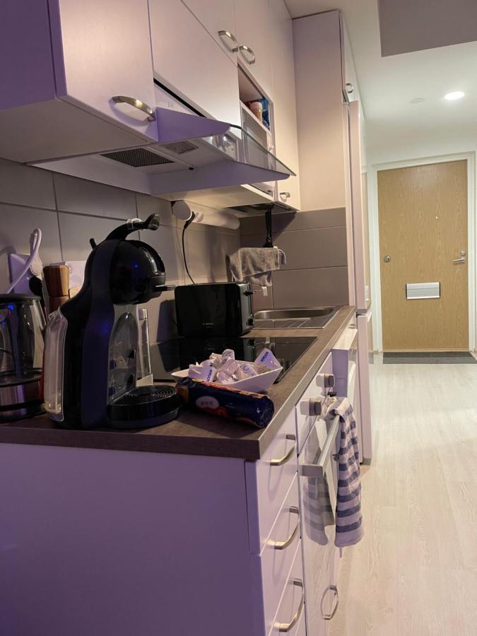 Arctic Penthouse Studio With Free Parking And High-Speed Wi-Fi Rovaniemi Extérieur photo